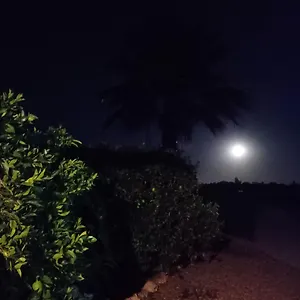 La Buganvilla, Descanso Entre Olivares Hornachuelos